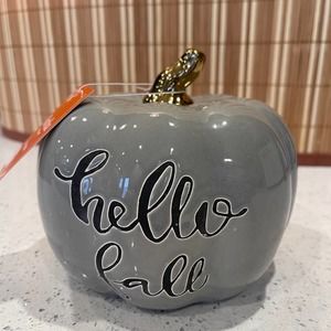 Martha Stewart Hello Fall‎ Grey Ceramic Pumpkin Decor